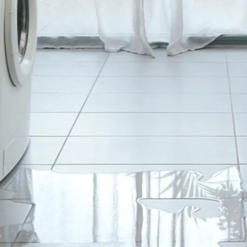 Appliance Leak Cleanup in Richmond, MO