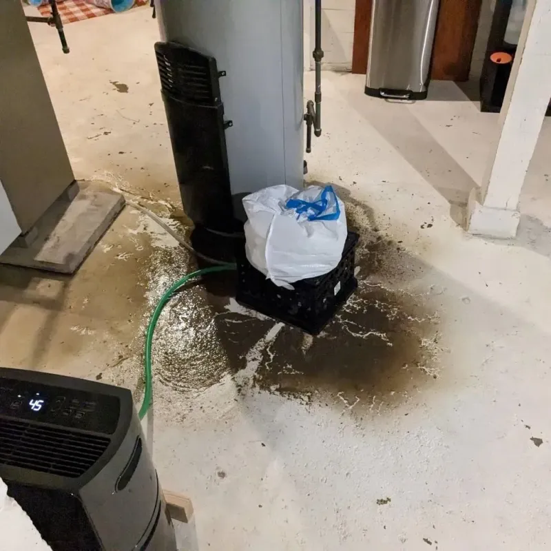 Sewage Backup Cleanup Service in Richmond, MO